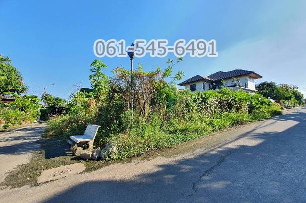 For SaleLandKaset Nawamin,Ladplakao : Land for sale, 91 sq m., Soi Nawamin 42, Intersection 8-11, beautiful, good location, good price