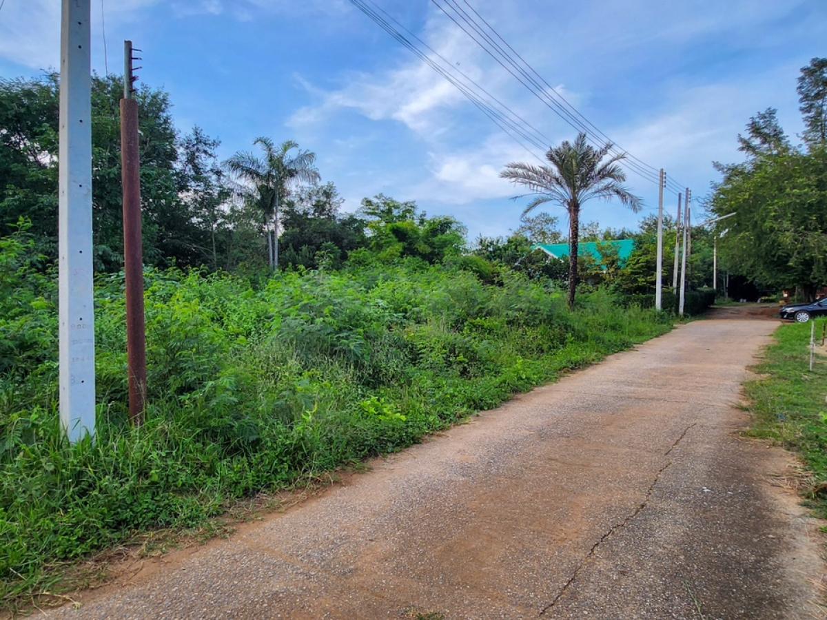 For SaleLandPak Chong KhaoYai : 🔥Land in Khao Yai area, near Bonanza, price less than a million!!!