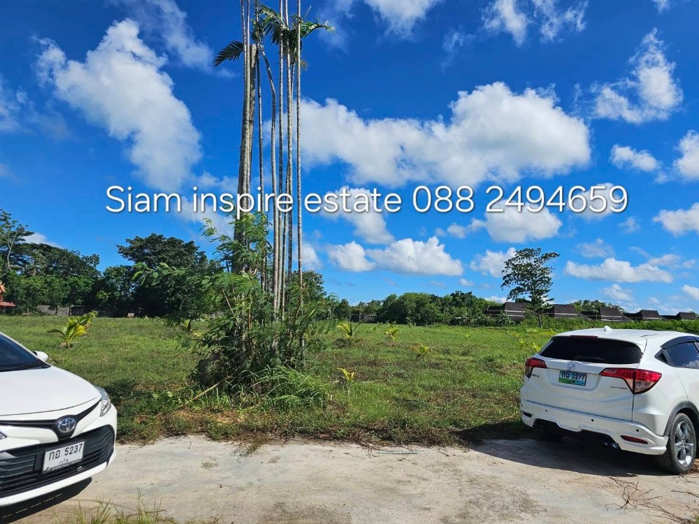 For RentLandPhuket : Land for long term lease  Located Phuket city  - land side 10 rai. There are 3 plots