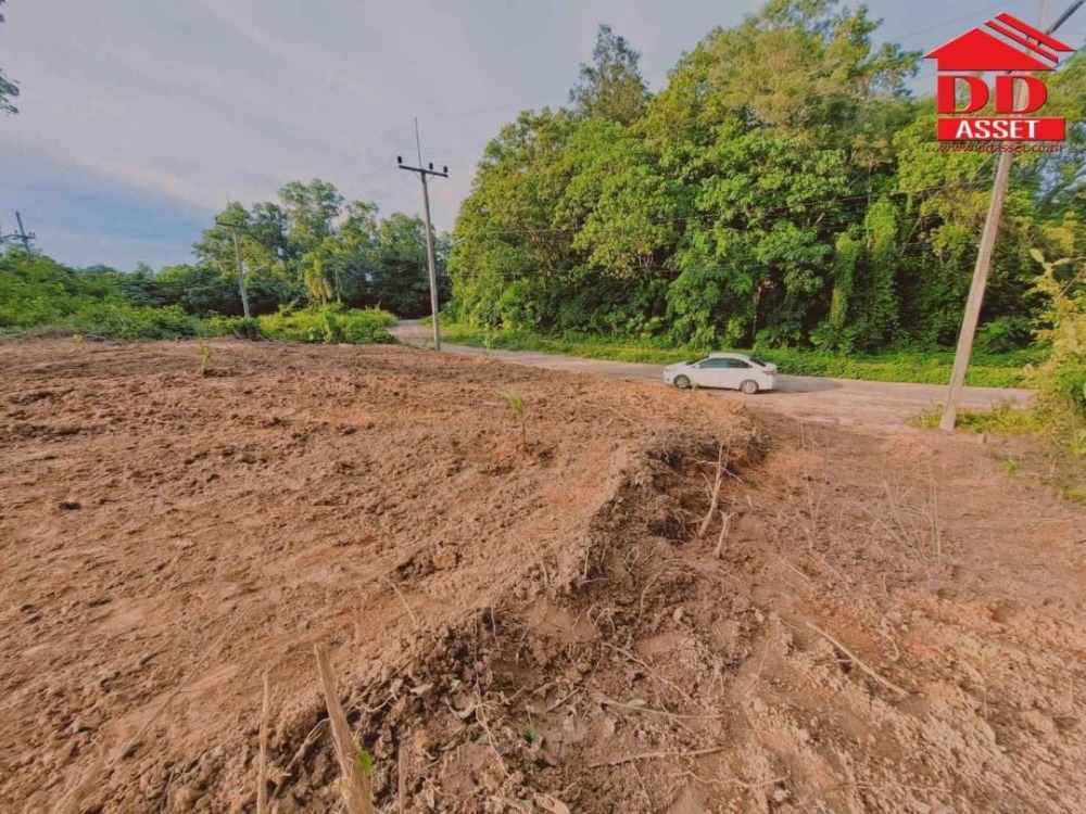 For SaleLandPhuket : Land for sale, Koh Sire Subdistrict, Mueang Phuket District, Mali Kaew Alley, near Phuket Town, Code: L8027