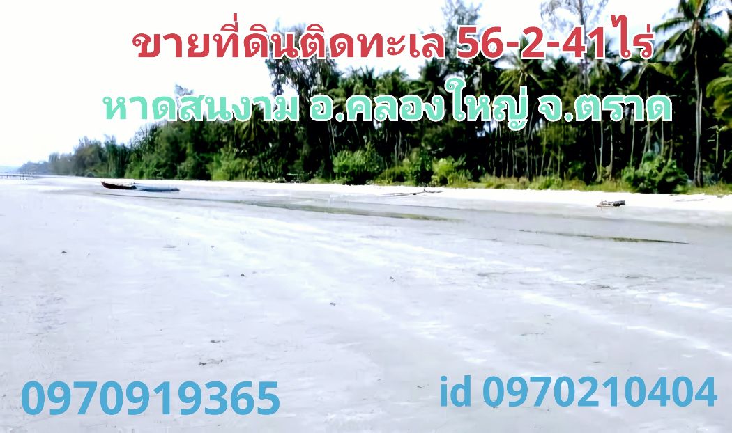 ขายที่ดินตราด : ขาย ที่ดิน ติดทะเล 56 ไร่ 2 งาน 41 ตร.วา ชายหาดสวย อ.คลองใหญ่ จ.ตราด