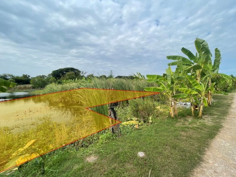 For SaleLandMin Buri, Romklao : 2 rai land, Soi Pracharuamjai 57, adjacent to the road on both sides, width 34 meters, length 72 meters, Sai Thong Din Tai Subdistrict, Khlong Sam Wa District, Bangkok