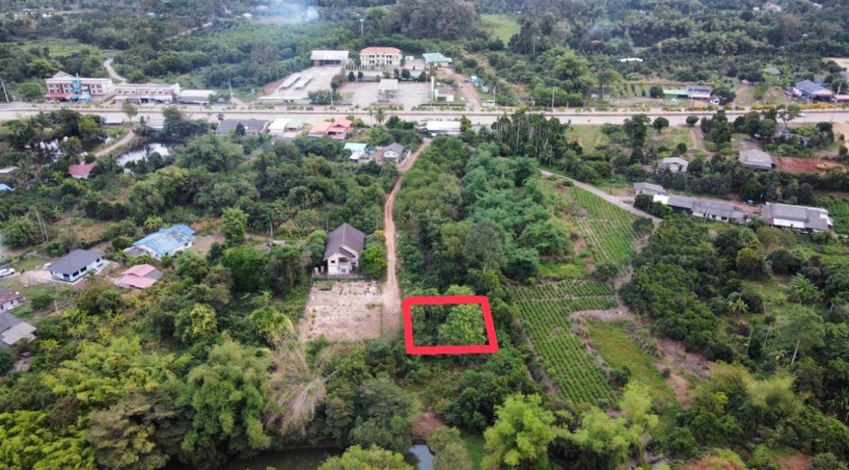 For SaleLandPrachin Buri : Land for sale, allocated 100 square wah, 2 plots, adjacent to 50 sq.w., near the Prachinburi Provincial Government Center, Mai Ked Subdistrict, Mueang Prachinburi District