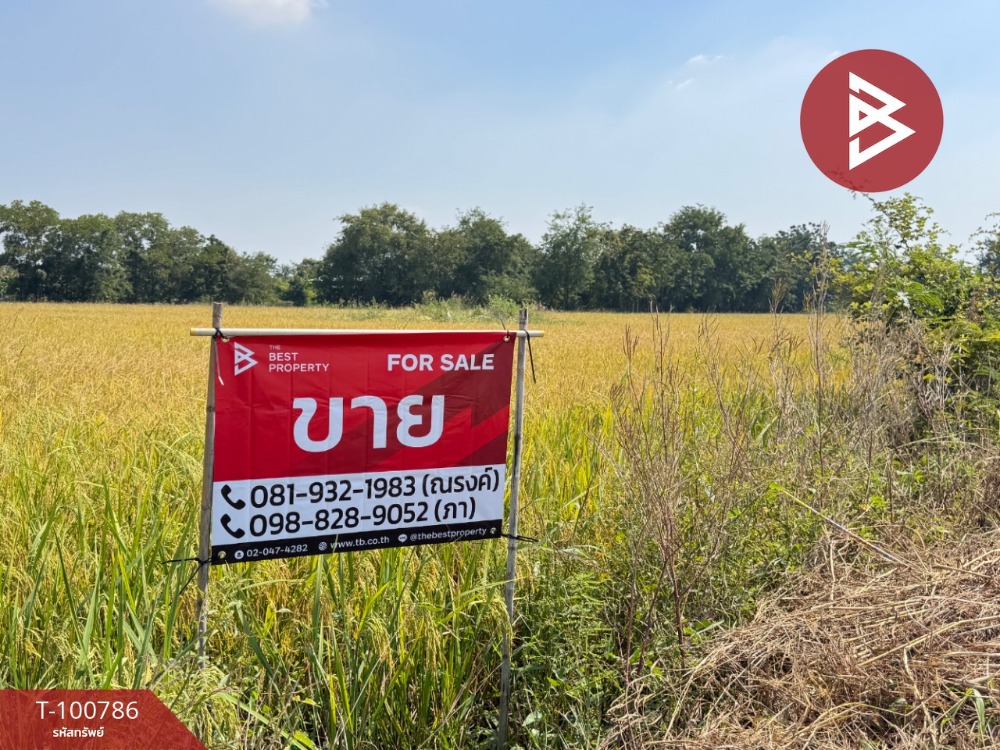 For SaleLandRatchaburi : Land for sale, area 6 rai 3 ngan 86 sq m, Hin Kong, Ratchaburi