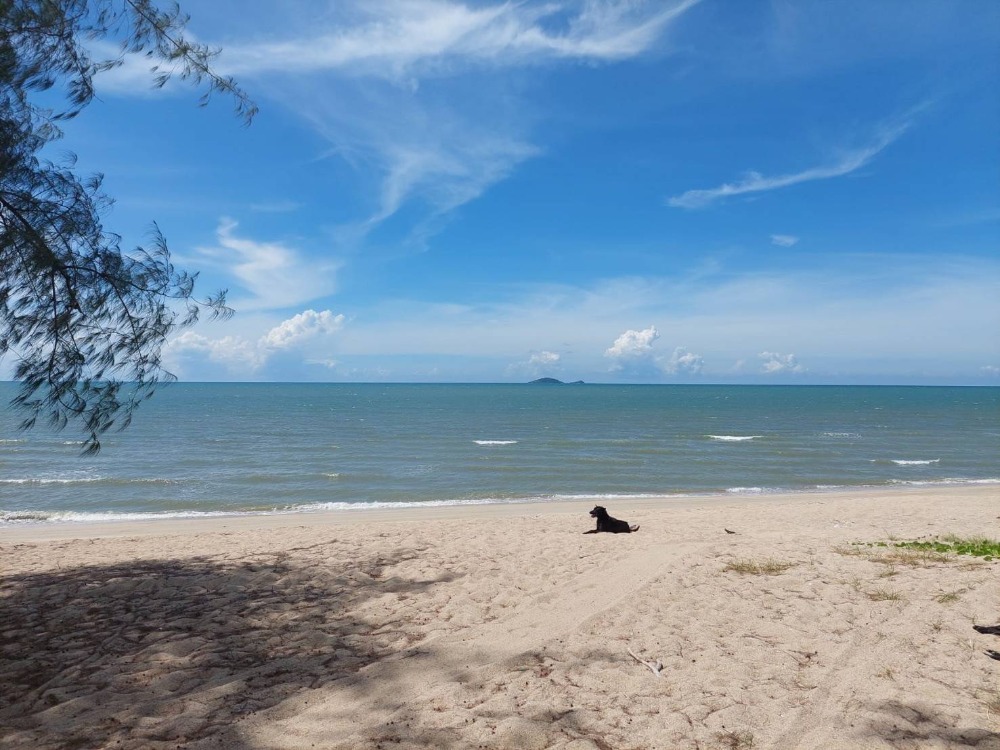 For SaleLandHuahin, Prachuap Khiri Khan, Pran Buri : ● Beachfront Land in Prachuap ● Vacant Land | 5 Rai 2 Ngan 7 sq.w.