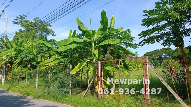 For SaleLandPattanakan, Srinakarin : 428928 Land for sale in Soi Krungthep Kreetha 8, size 1 rai. The alley is shady, with large trees