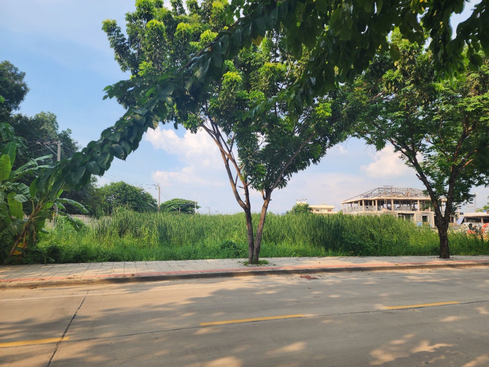 For SaleLandPhutthamonthon, Salaya : Land for sale, located on Sukhapiban Bang Ramad Road, behind Paseo Kanchanaphisek shopping mall, suitable for developing housing projects, good location, beautiful area, wide road