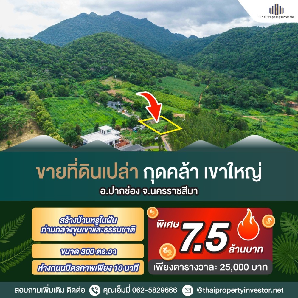 ขายที่ดินโคราช นครราชสีมา : โอกาสทอง! ขายที่ดิน วิวภูเขาสุดพิเศษ 300 ตร.วา (เขาใหญ่) เริ่มต้นเช้าวันใหม่ด้วยอากาศบริสุทธิ์และวิวภูเขา! ขายที่ดินเปล่าในทำเลที่ดีที่สุด กุดคล้า-ผ่านศึก พญาเย็น ปากช่อง นครราชสีมา เพียง 3 กิโลเมตรจากถนนมิตรภาพ ทำเลที่เ