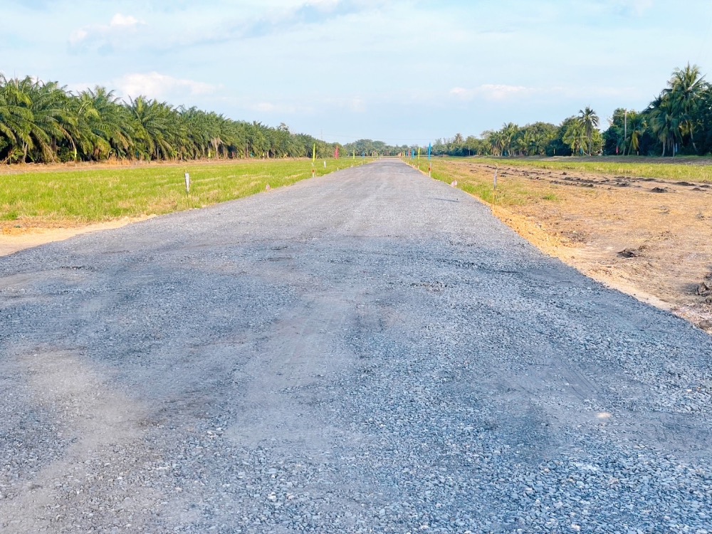 ขายที่ดินปทุมธานี รังสิต ธรรมศาสตร์ : ที่ดินใกล้ตลาด ปทุมธานี น้ำไฟฟ้าหน้าแปลง