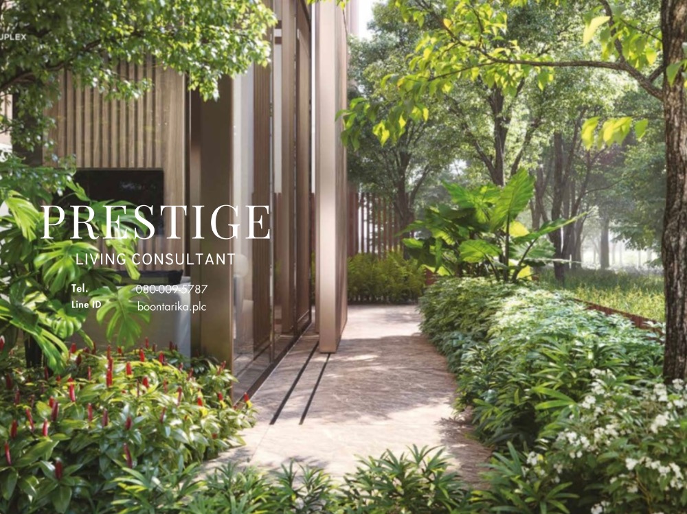 ขายคอนโดบางนา แบริ่ง ลาซาล : 📌For SALE ขาย | Mulberry Grove The Forestias- 2BR (158.52sqm) 49.45MB