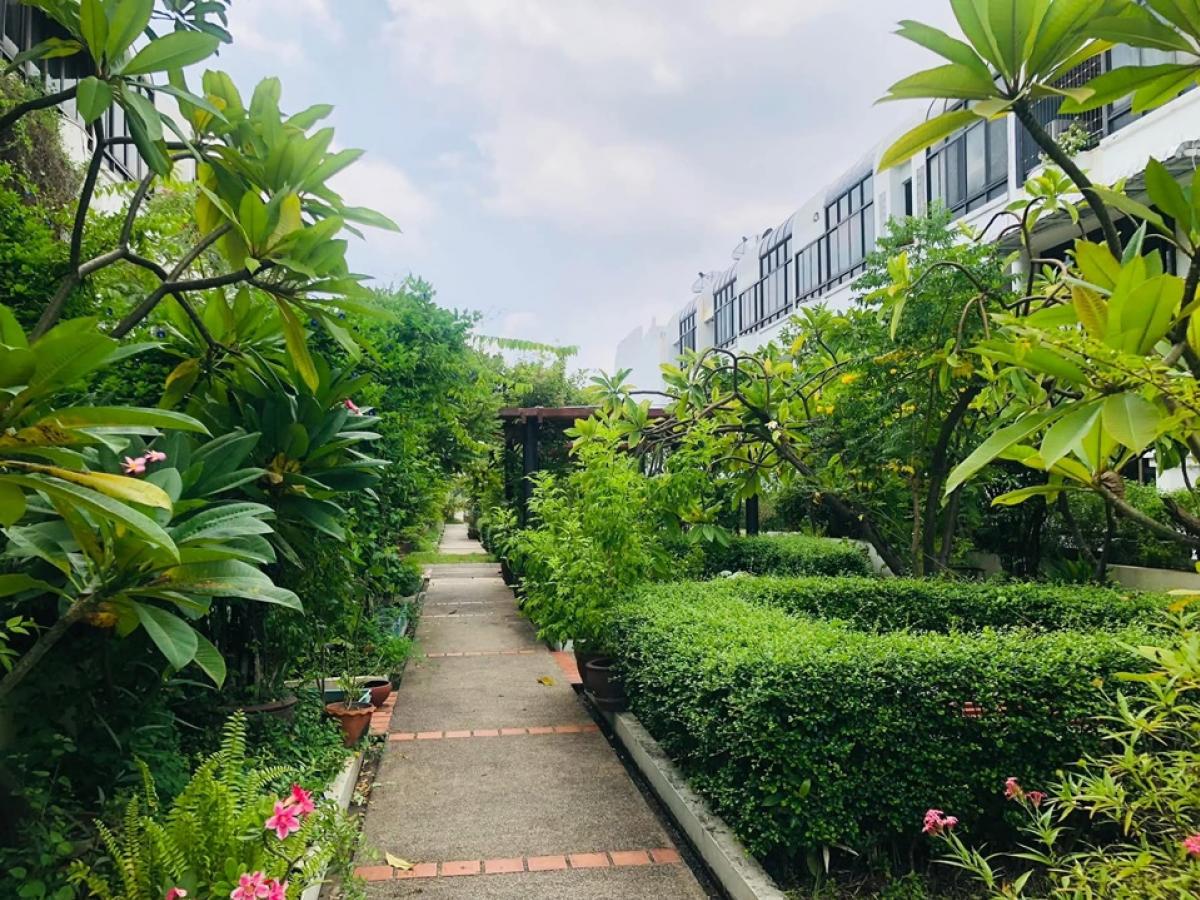 ให้เช่าทาวน์โฮมพระราม 3 สาธุประดิษฐ์ : 📢👇Townhouse 4 story at Garden House Rama3, Garden view, peaceful and serene, decorated in Thai Oriental style with real wood flooring, fully furnished