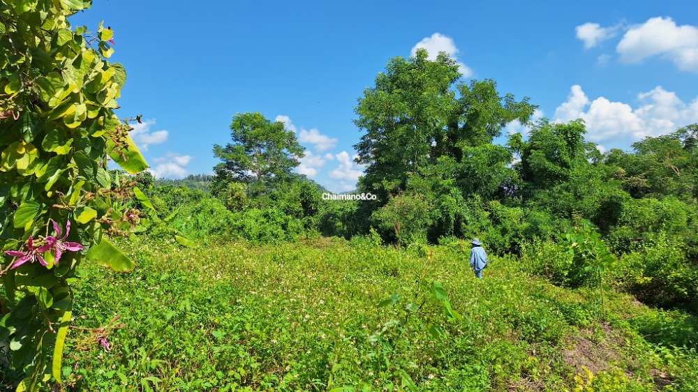 For SaleLandChiang Mai : 🔥LAND FOR SALE 2-2-26 Rai >Best price 1,000,000 baht only!!with Mountain view ⛰️@Chomthong Chiangmai.