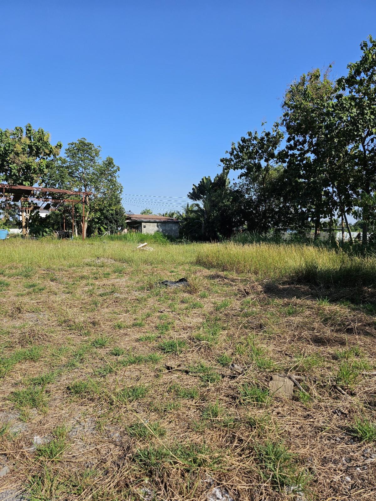 For SaleLandSriracha Laem Chabang Ban Bueng : Land for sale in Tung Krat, near Laem Chabang