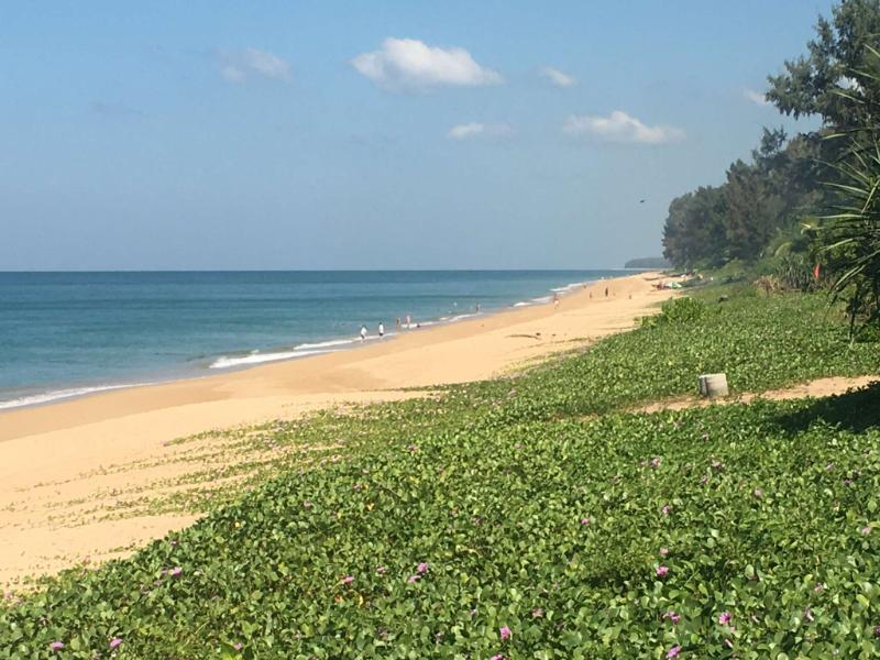 For SaleLandPhuket : The land is located in Soi Mai Khao 7, close to Mai Khao Beach, only 100 meters from the Mai Khao Beachyellow areaLand size 8-0-20.9 raiCan build a pool villa and develop the houseSelling price: 144,940,500 baht