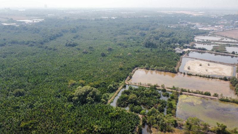 For SaleLandChachoengsao : Land For Sale in Bang Pakong, Chachoengsao 90-2-34 rai