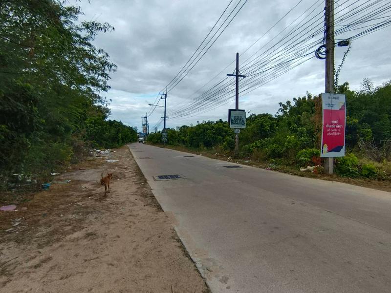 For SaleLandPattaya, Bangsaen, Chonburi : Land for sale in Na Jomtien, Chonburi, size 9-3-81.6 rai