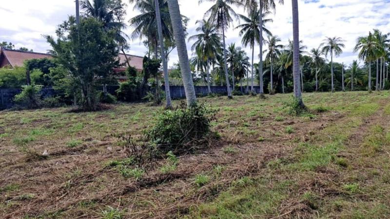 For SaleLandPhuket : Land For Sale in Mai Khao ,Thalang ,Phuket, land size 6-0-50.6 rai.