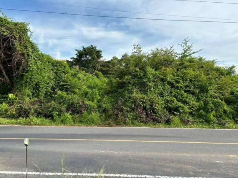 For SaleLandPhuket : Land For Sale near Mai Khao Beach,Land area 2-3-65.3 rai