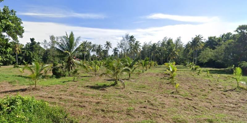 For SaleLandPhuket : Land For Sale in Mai Khao ,Thalang ,Phuket, Land size is 7-2-29.7 rai