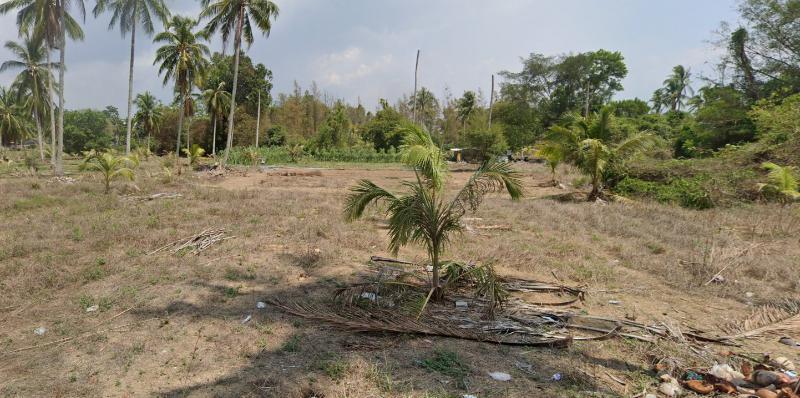 For SaleLandPhuket : Land For Sale Mai Khao, Thalang, Phuket, Land size 5-3-49.6 rai