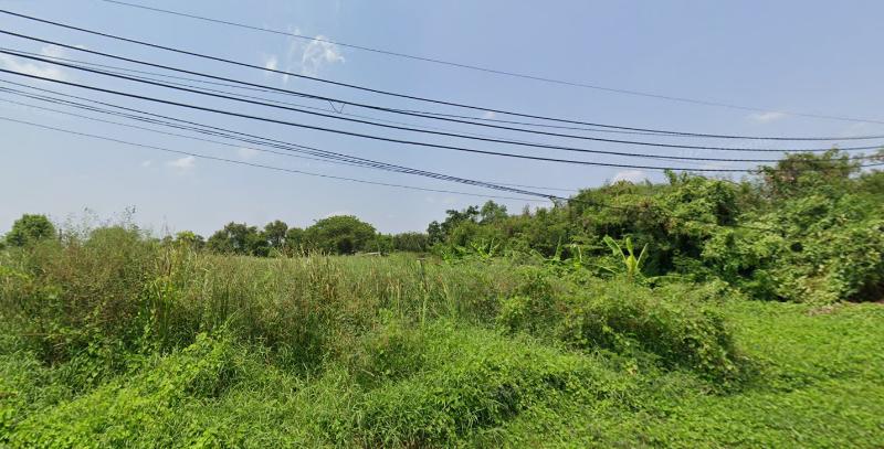 For SaleLandPhutthamonthon, Salaya : Land For Sale in Soi Salaya 31, land size is 2-2-40 rai