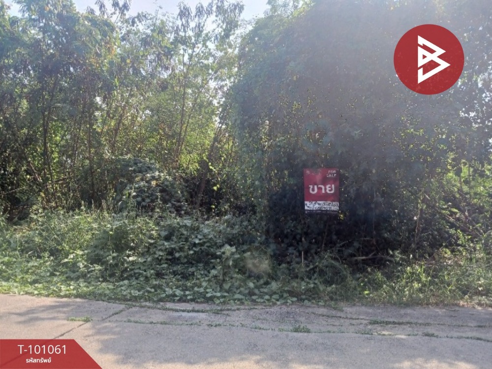 For SaleLandNonthaburi, Bang Yai, Bangbuathong : Land for sale, area 81.7 sq.wa, Bang Bua Thong, Nonthaburi