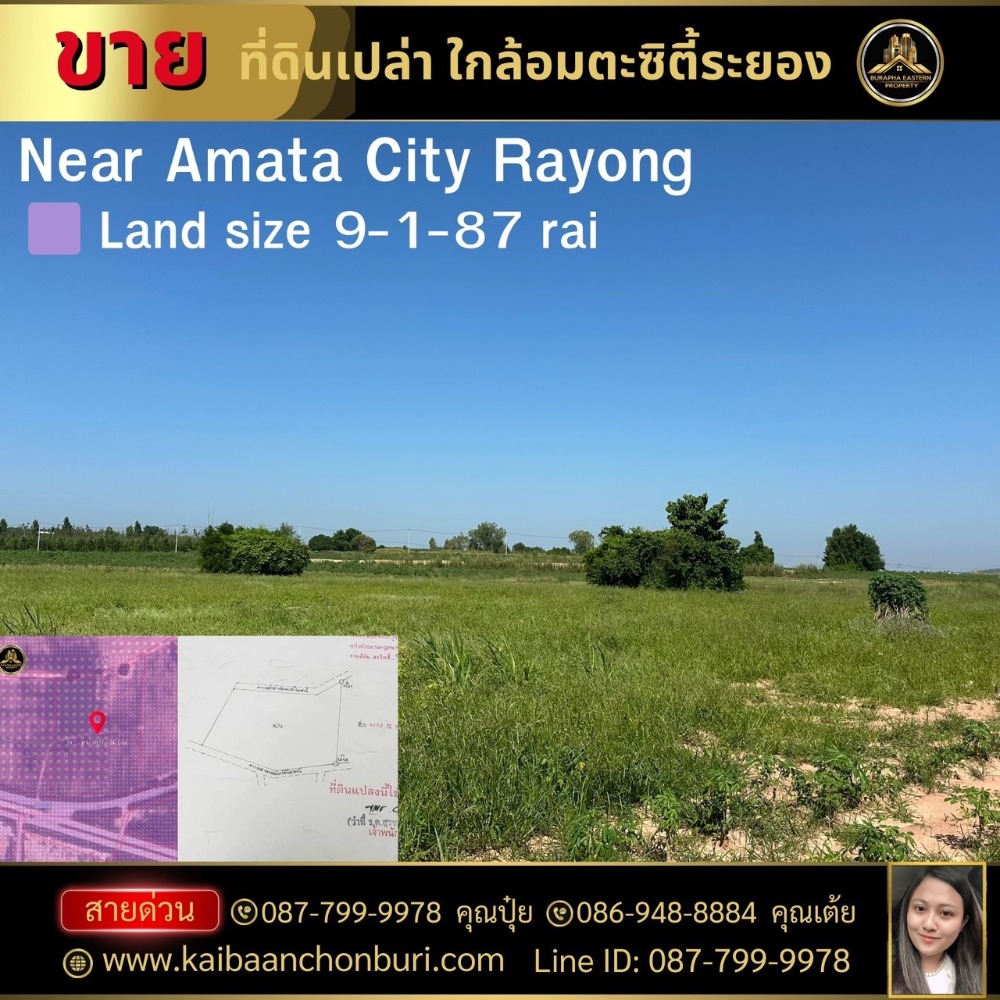 For SaleLandRayong : Urgent sale of beautiful land plots purple area Location Map Yang Phon, Pluak Daeng District, Rayong Province  Near Amata City Industrial Estate, Pluak Daeng, suitable for building factories/warehouses, etc.