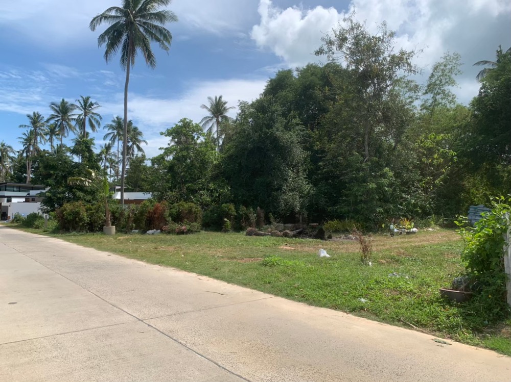 For SaleLandKoh Samui, Surat Thani : Land for sale 143 square wah on Koh Samui, near the beach, good atmosphere