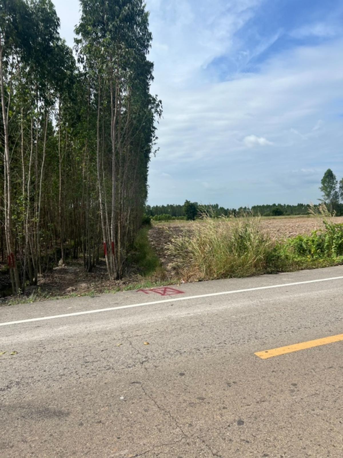 For SaleLandPrachin Buri : Vacant Land for Sale in Prachinburi - Near Rojana Industrial Park