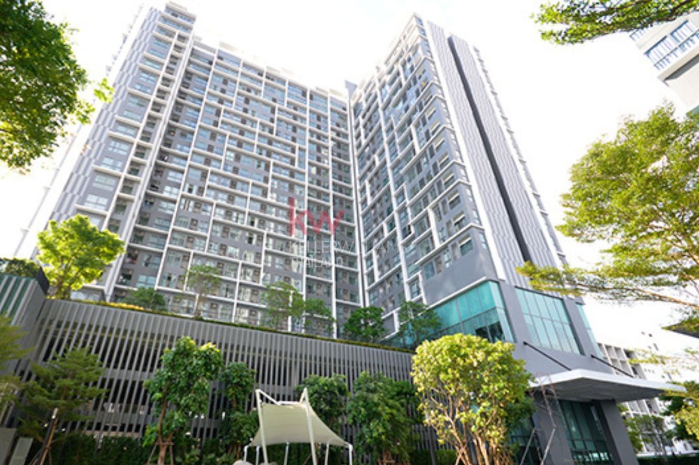 For RentCondoOnnut, Udomsuk : For rent Ideo Mobi Sukhumvit 81, price 22,000 baht/month, size 45 square meters, 4th-5th floor, 1 bedroom, 1 bathroom, good view