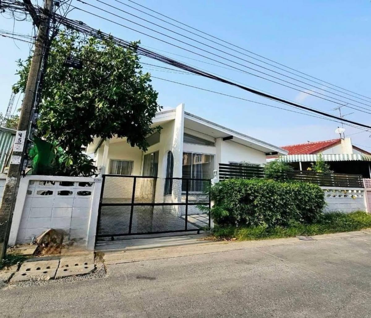 For RentHouseKasetsart, Ratchayothin : Single house for rent, Senanikhom 1, Soi 25  🏡🎊💸