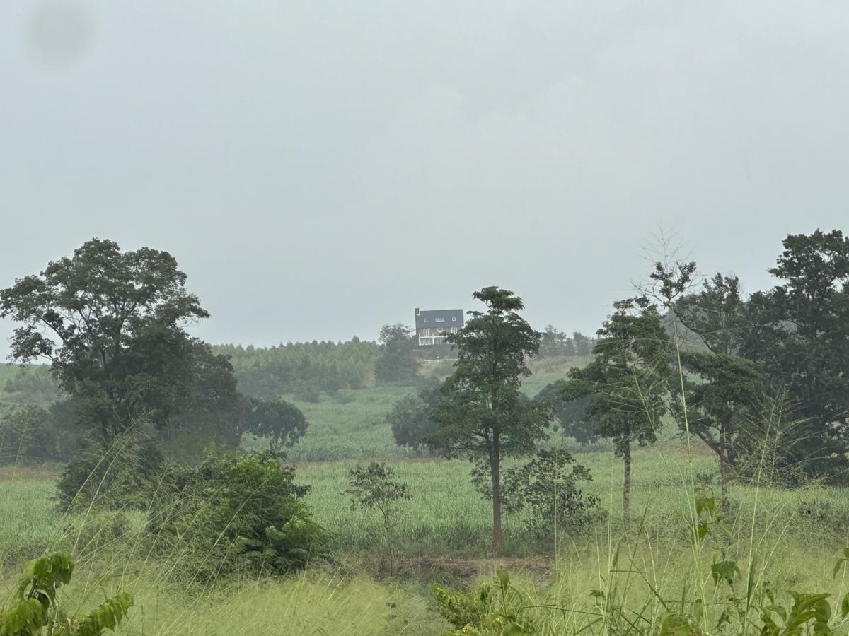 For SaleLandPak Chong KhaoYai : Khao Yai land for sale at a very good price