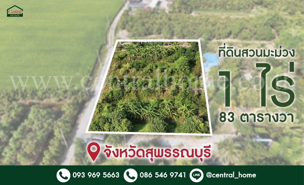 ขายที่ดินสุพรรณบุรี : ที่ดินสวนมะม่วง โพธิ์พระยา เมืองสุพรรณบุรี ใกล้ตัวเมือง ราคาถูกมาก