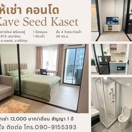 ให้เช่าคอนโดเกษตรศาสตร์ รัชโยธิน : ให้เช่าคอนโด Kave Seed Kaset วิวสระว่ายน้ำ เพียง 12,000 บาท/เดือน