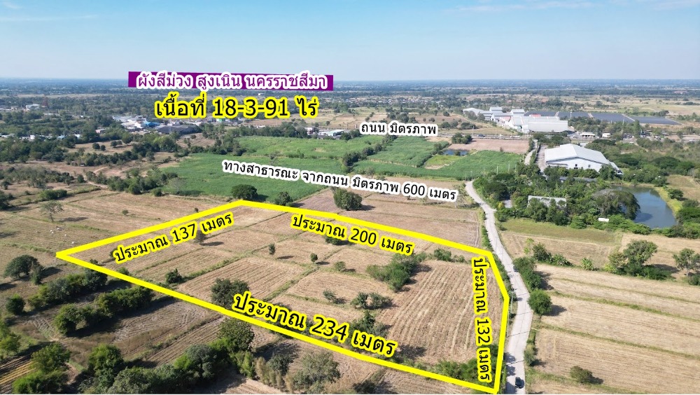 For SaleLandKorat Nakhon Ratchasima : Nakhon Ratchasima, purple plan, only 600 meters from Mittraphap Road.