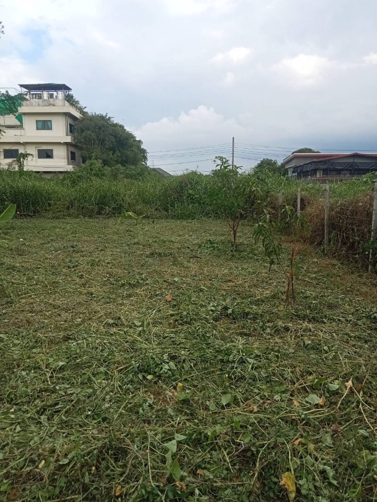 For SaleLandPhutthamonthon, Salaya : Land for sale, filled in, 120 sq.w., Soi Borommaratchachonnani 68/1