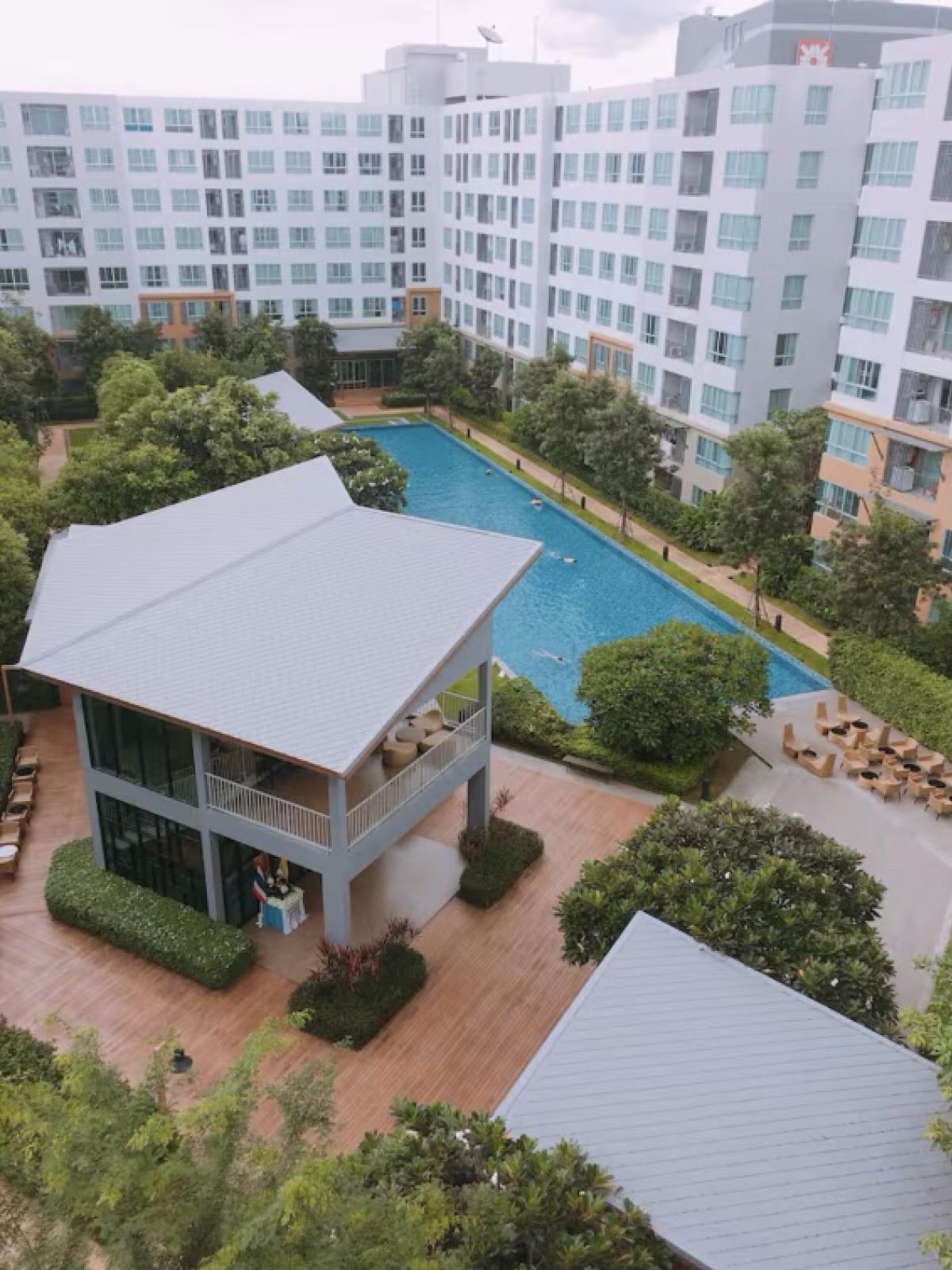 ขายคอนโดเชียงใหม่ : ขายดีคอนโดนิม ติดเซ็นทรัลเฟสติวัลเชียงใหม่D Condo Nim ชั้น 5 / วิวใน