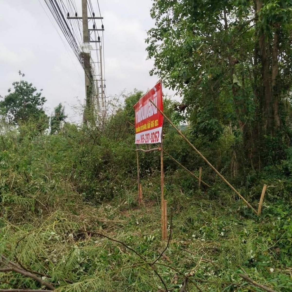 For SaleLandPhitsanulok : Land for sale, 1 rai 2 ngan, Mueang Phitsanulok District, next to the bypass road