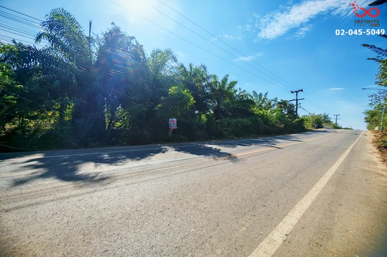 For SaleLandChachoengsao : Land for sale + oil palm plantation 42-0-44 rai, Khu Yai Mi Subdistrict, Sanam Chai Khet District, Chachoengsao