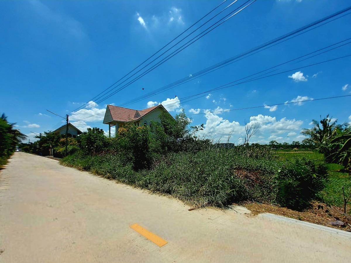 ขายที่ดินปทุมธานี รังสิต ธรรมศาสตร์ : ขาย ที่ดิน 200 ตร.ว. คลองห้า คลองหลวง ใกล้สนามกอล์ฟอัลไพน์ ซอยตะวันออก 26 วาละ 9,900 บ.