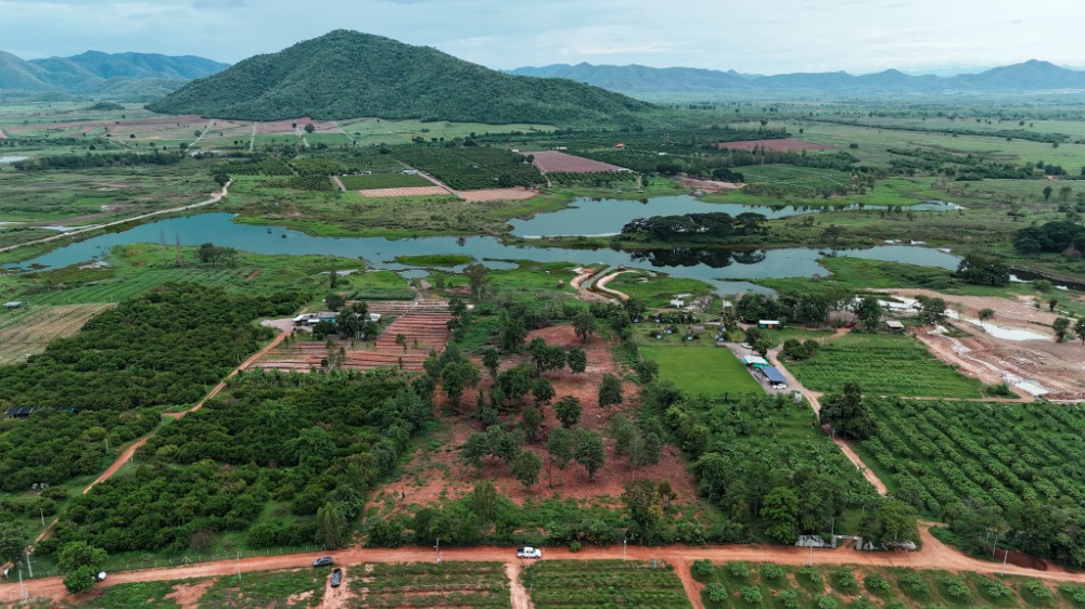 For SaleLandRatchaburi : Large plot of land..near Bangkok //"Huai Mai Teng, Ratchaburi//"