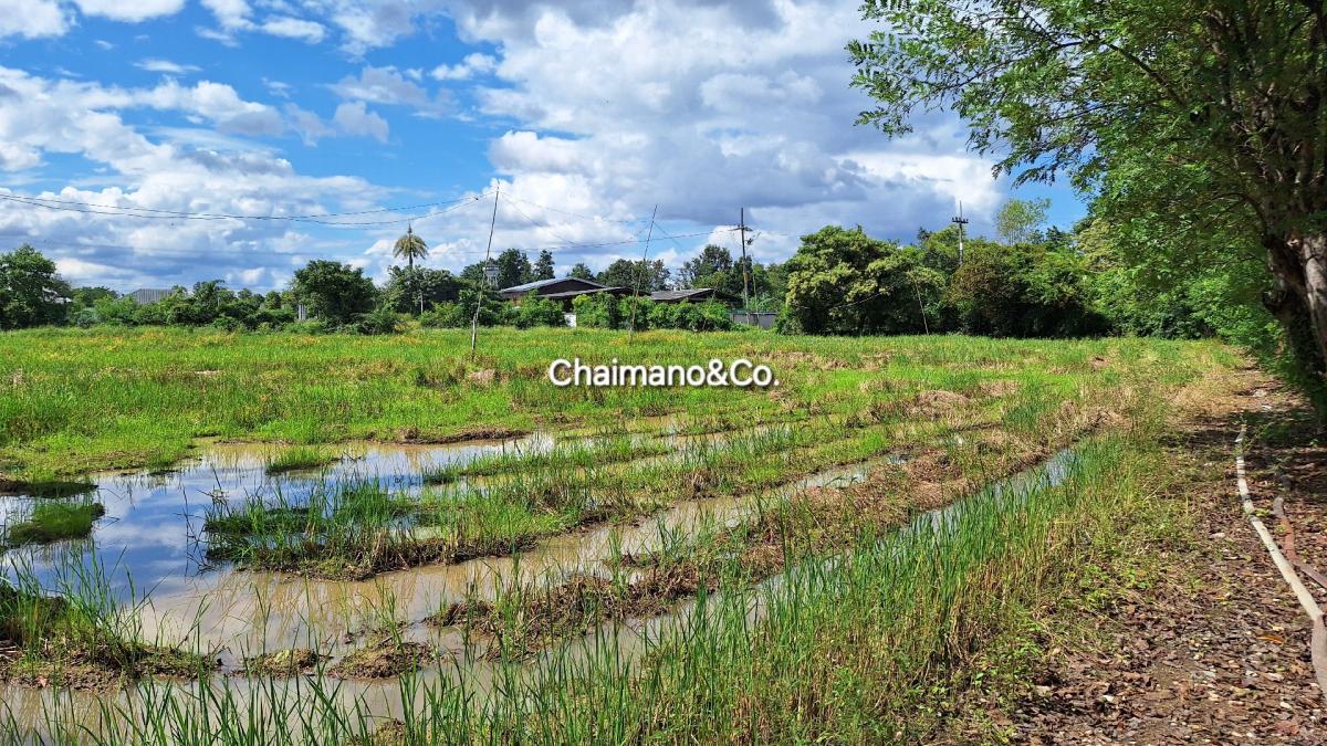 For SaleLandLamphun : 🔥Land for Sale 3-2-42 Rai, Banthi Lamphun. (Close tp Samkhampang District ChiangMai City)🔥