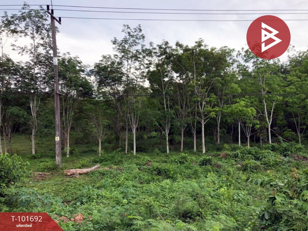 For SaleLandNakhon Si Thammarat : Land for sale, area 15 rai 1 ngan 2.4 sq.wa, Chulabhorn, Nakhon Si Thammarat