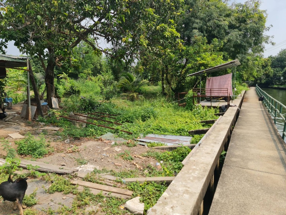 For SaleLandPhutthamonthon, Salaya : #Very cheap vacant land for sale #Next to Khlong Wat Pho (Bang Ramat) Area 549 sq w. #Phutthamonthon Sai 1 Road, Bang Ramat Subdistrict #Taling Chan District #Bangkok