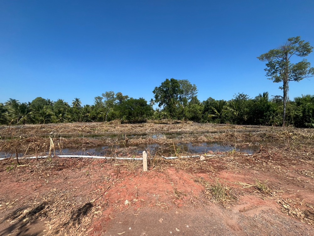 For SaleLandSamut Songkhram : For sale: 2 rai of vacant land, Lat Yai, Mueang Samut Songkhram District, near the Mae Klong River