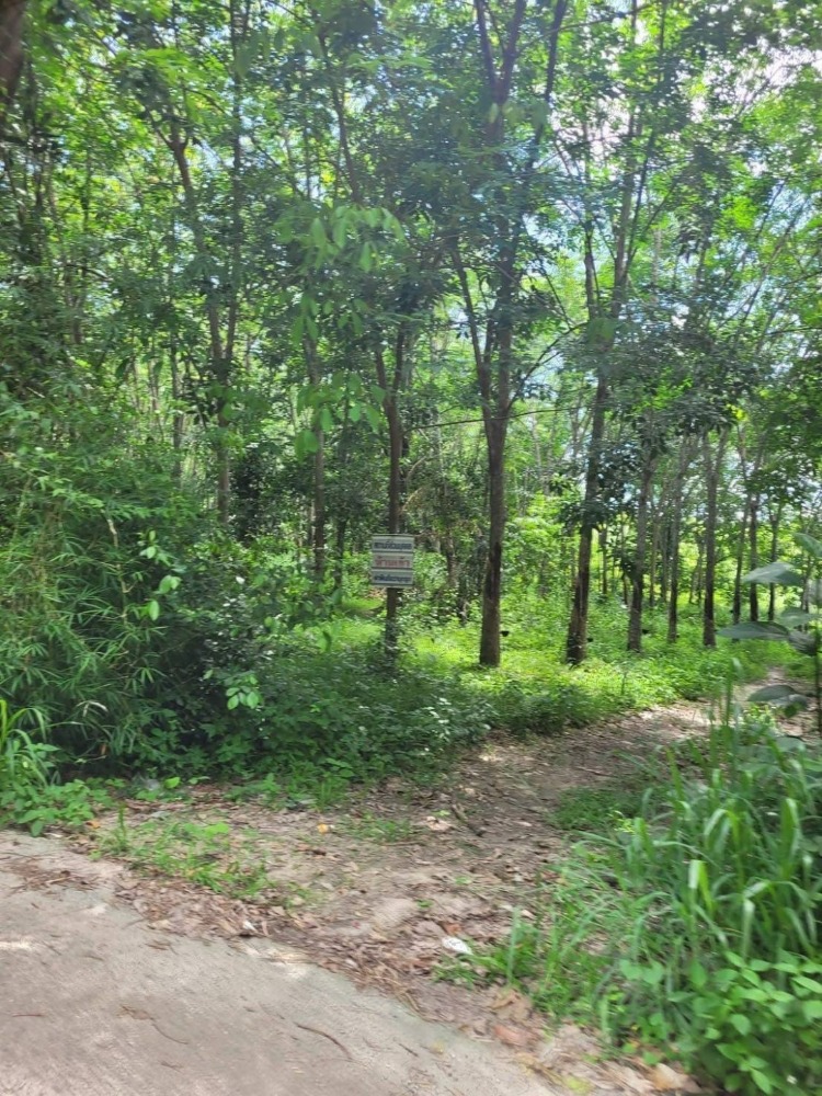 For SaleLandRayong : Land for sale, purple area, Nong Lalok, Ban Khai, Rayong