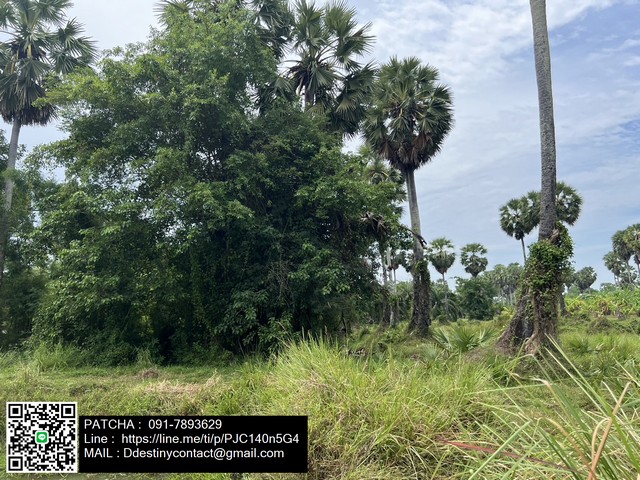 For SaleLandHatyai Songkhla : Beautiful land plot for sale, good location, Satun District, Songkhla Province, near community, convenient transportation