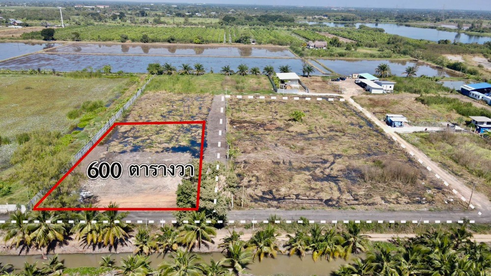 For SaleLandPathum Thani,Rangsit, Thammasat : Land for Sale: Soi Panarat, Klong 9, Nong Suea, Pathum Thani