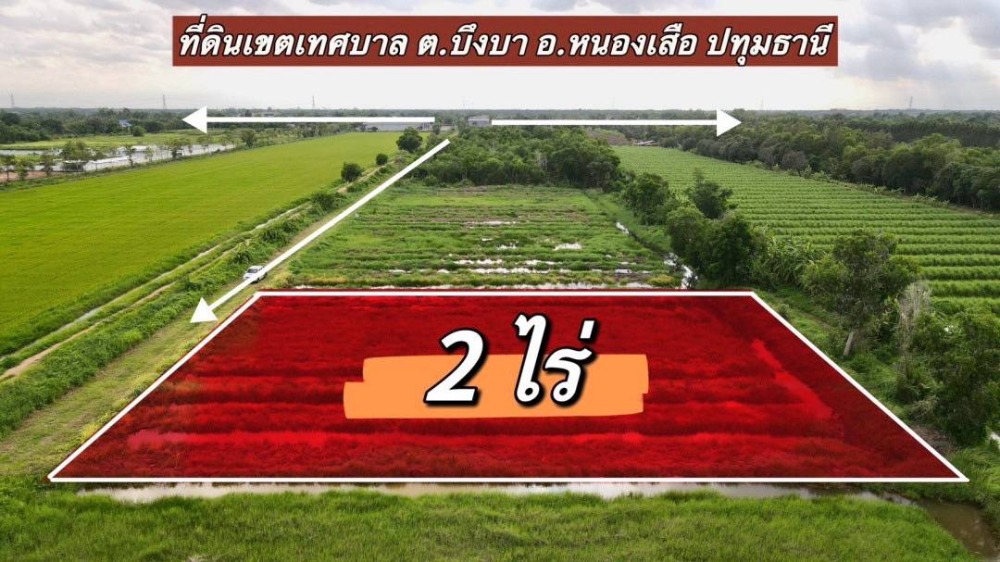 For SaleLandPathum Thani,Rangsit, Thammasat : 💢 Land for Sale in Nong Suea Municipal Area, Behind Nong Suea Electricity Office 💥 Klong 10, Nong Suea, Pathum Thani 💥