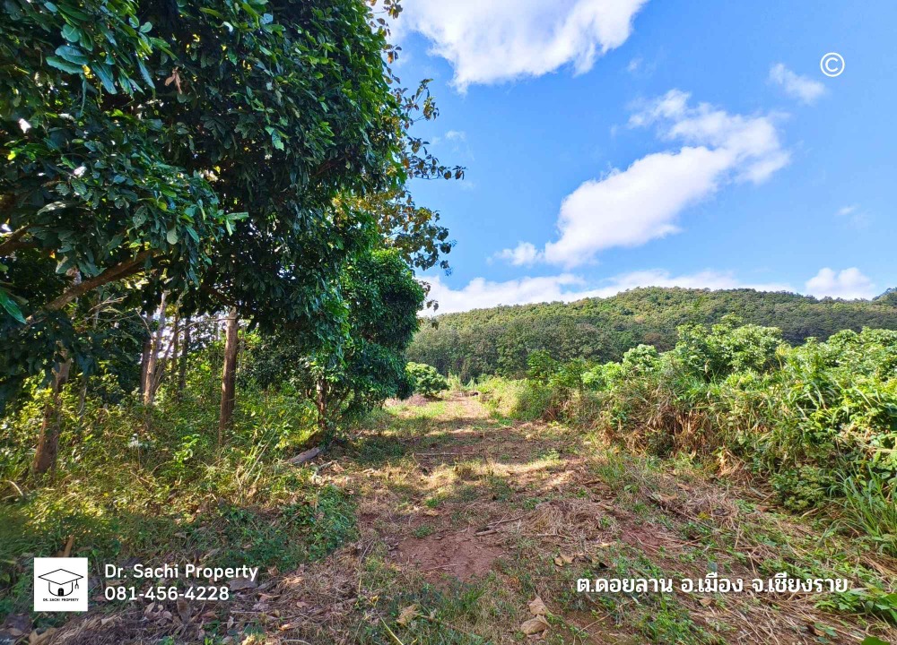 For SaleLandChiang Rai : Beautiful land for sale on a hill behind a mountain, 6 rai 55 sq wah, beautiful view, with teak trees, near the dual-track railway station, Ban Pong Kluea